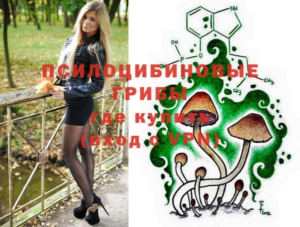 мдпв Михайловка