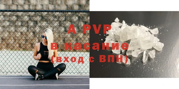 молекула духа Бежецк