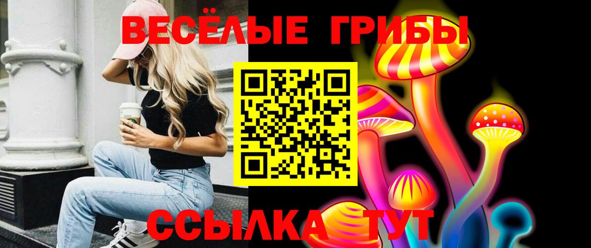 Псилоцибиновые грибы GOLDEN TEACHER Нягань