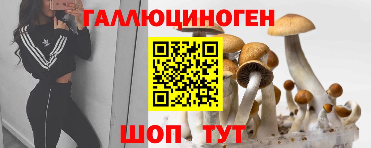 Псилоцибиновые грибы Psilocybine cubensis  Нягань 